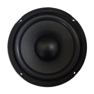 COPPIA MEDIO BASSO DA 165mm. 100WATT RMS